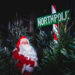 Best Christmas Events West Midlands 2025 – Meet Santa and More