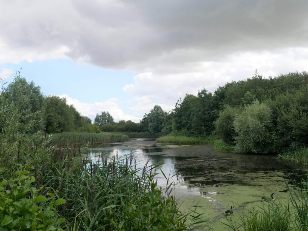 Water's Edge Country Park