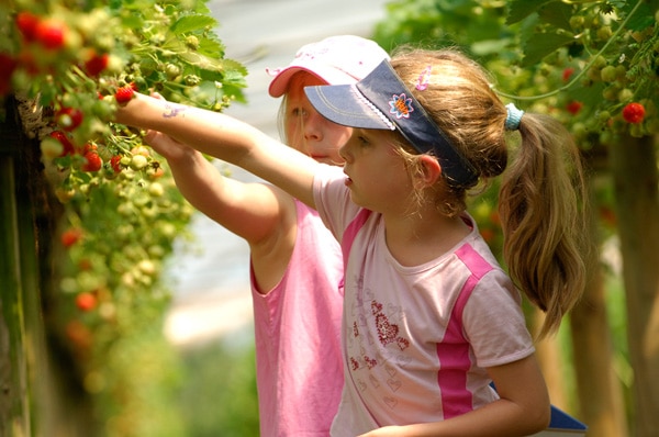 Trevaskis Farm