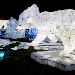 Best Christmas Events East of England 2025 – Meet Santa | East Anglia