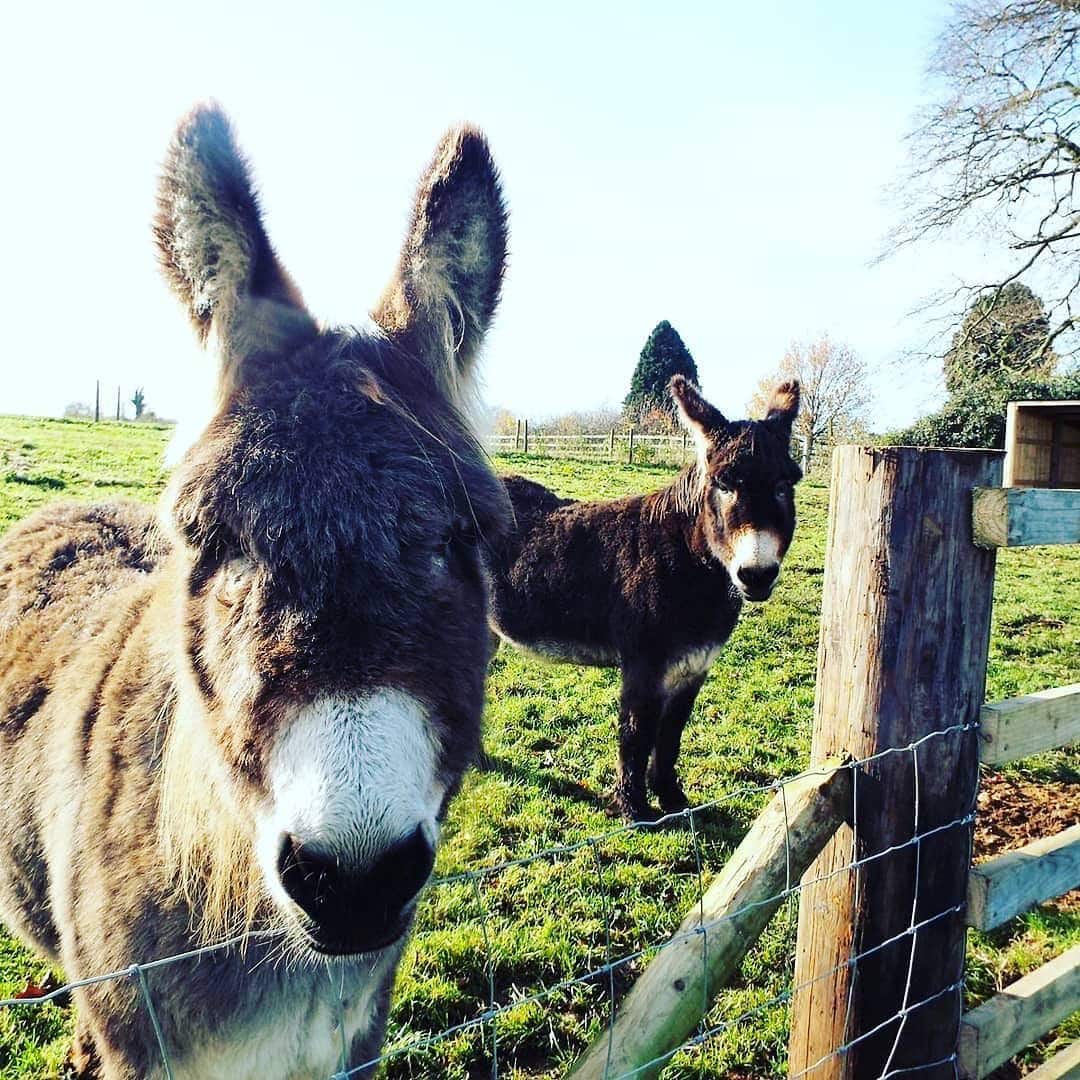 Wappenham Farm
