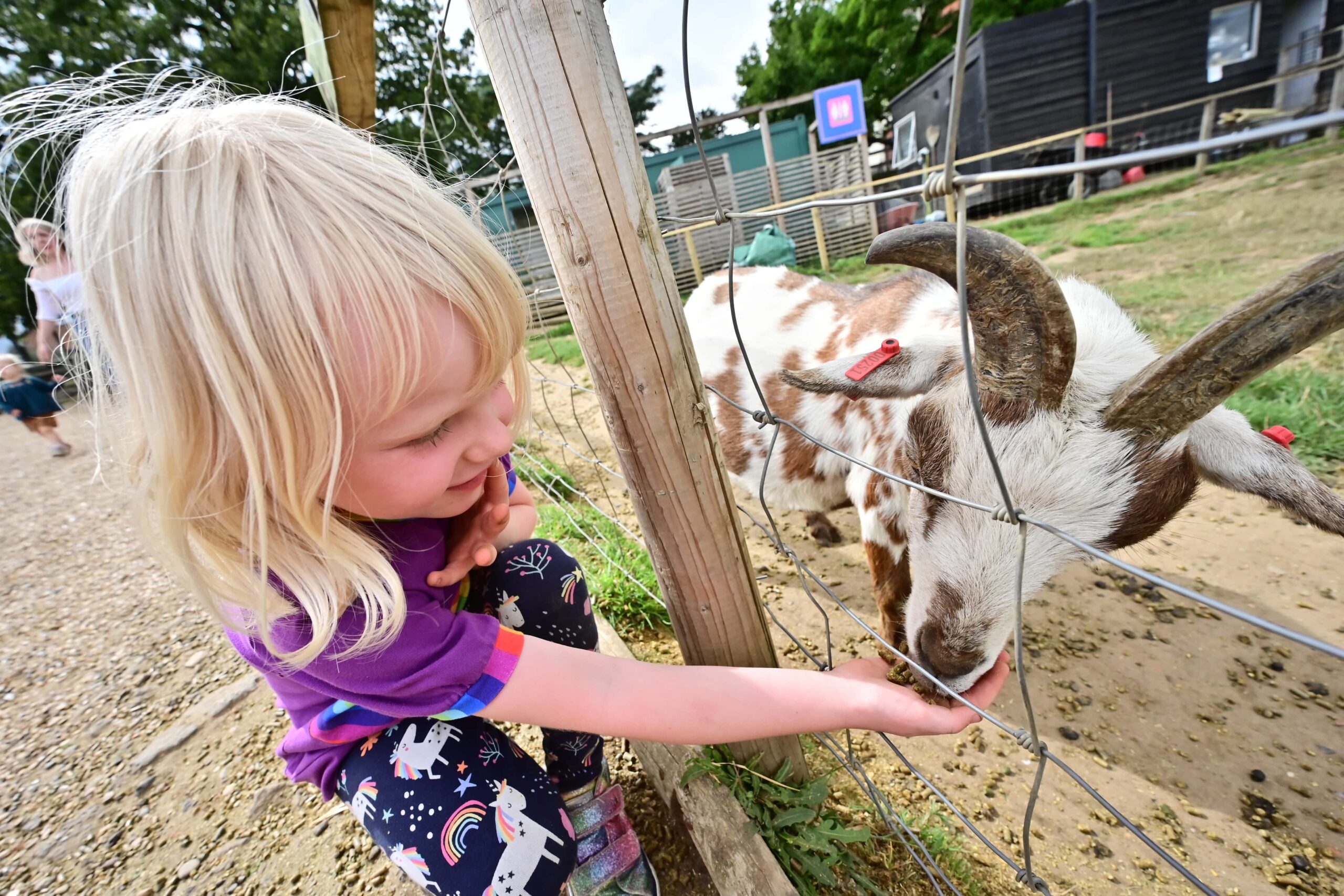 Jimmy's farm and Wildlife Park