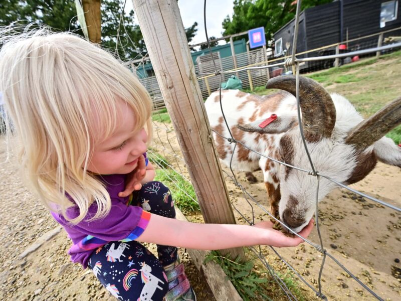 Jimmy's Farm and Wildlife Park