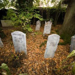 Best Halloween Events South East 2025 | Things to do Half-Term
