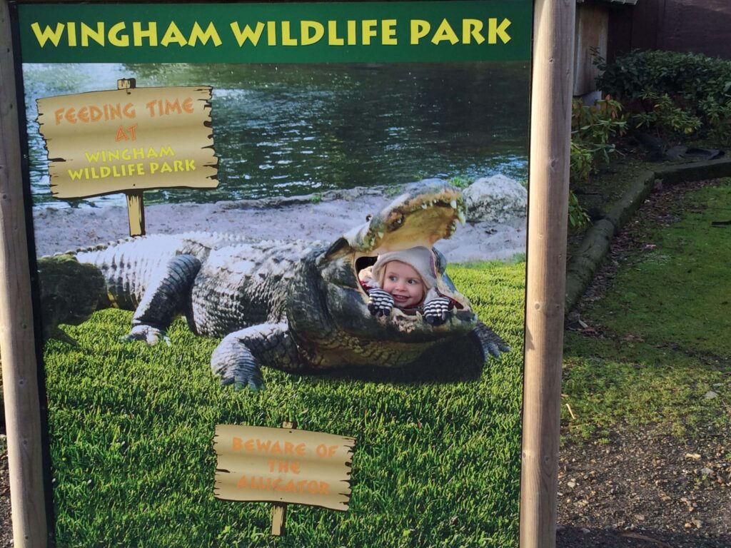 Wingham Wildlife Park