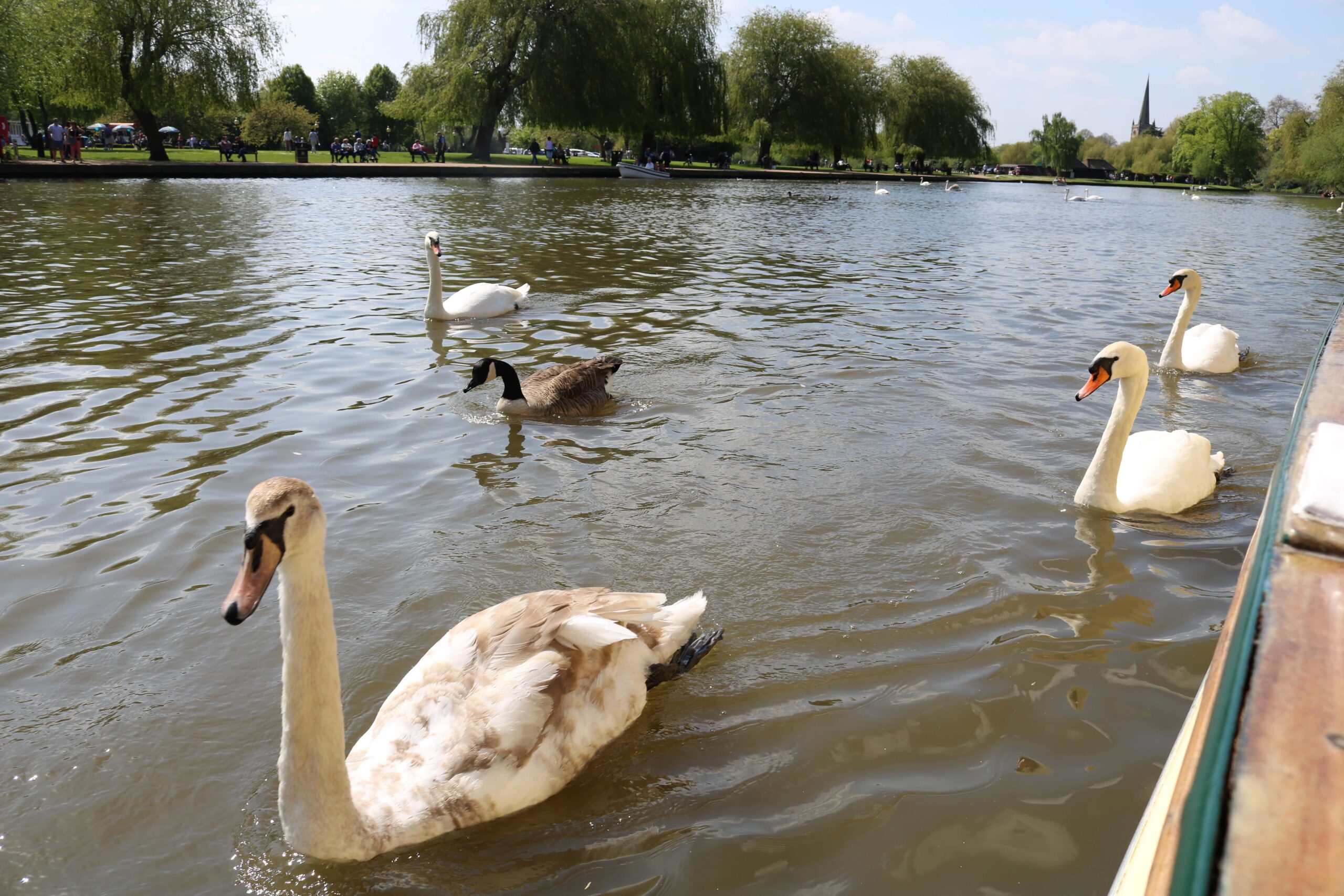 Avon Boating