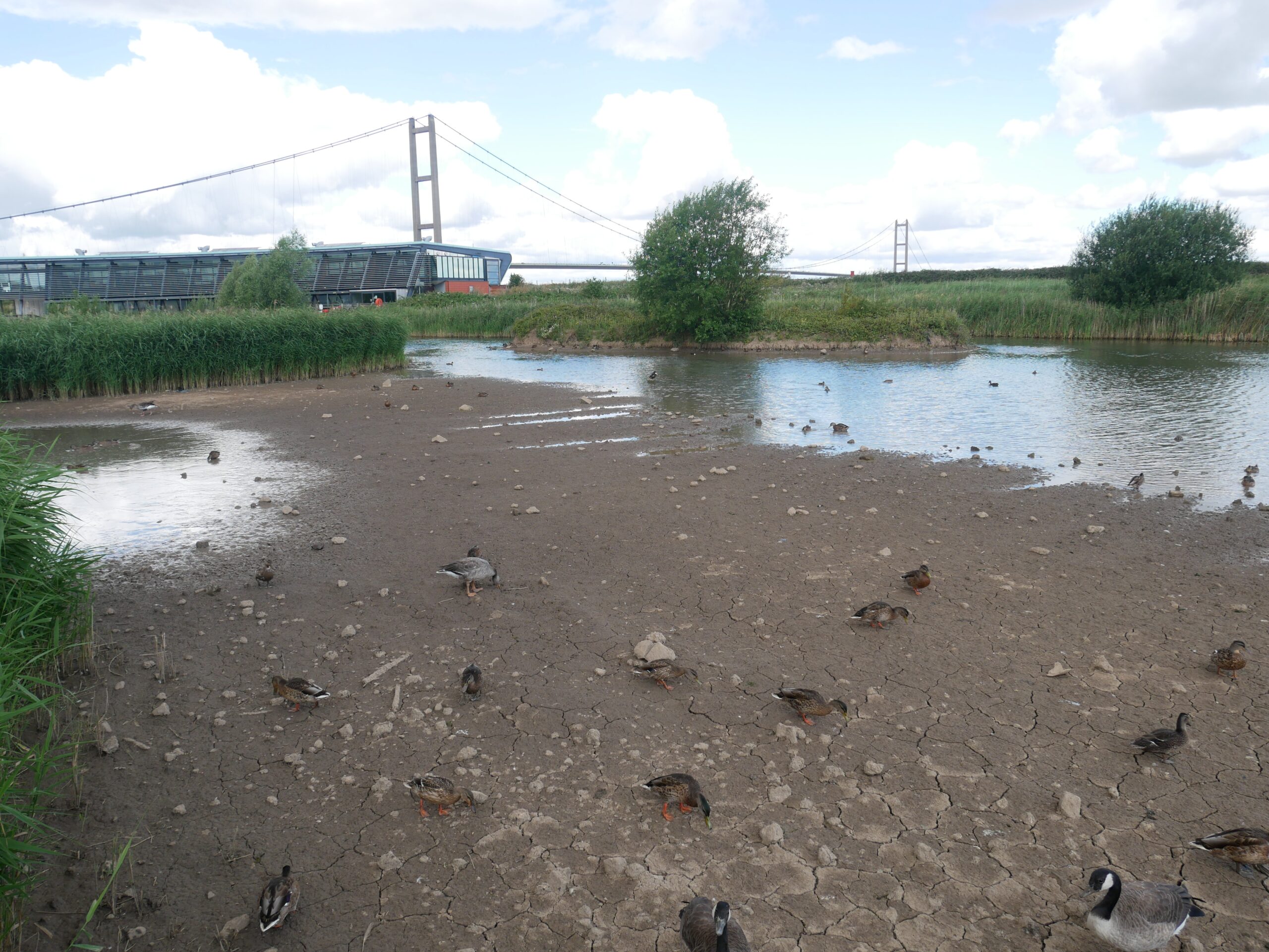 Water's Edge Country Park