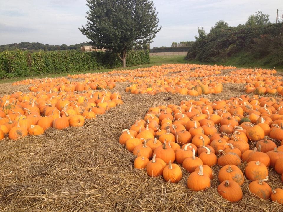 Stanhill Farm