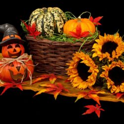 Best Halloween Events North West 2025 | Things to do Half-Term