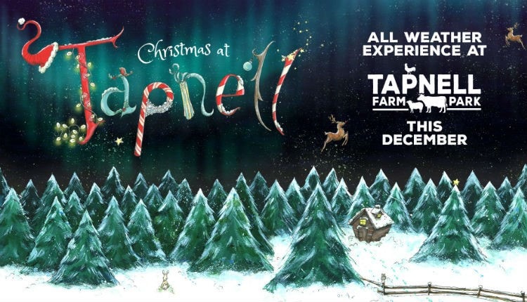 `Best Christmas Events Isle of Wight 2020