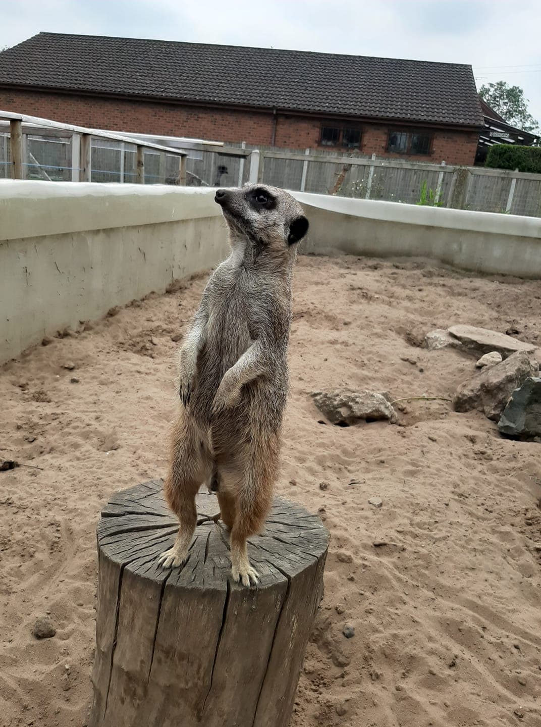 Messingham Zoo