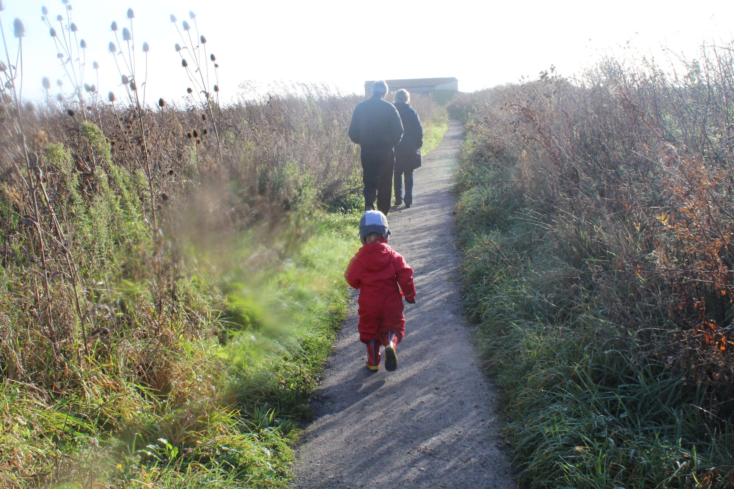 RSPB Frampton Marsh