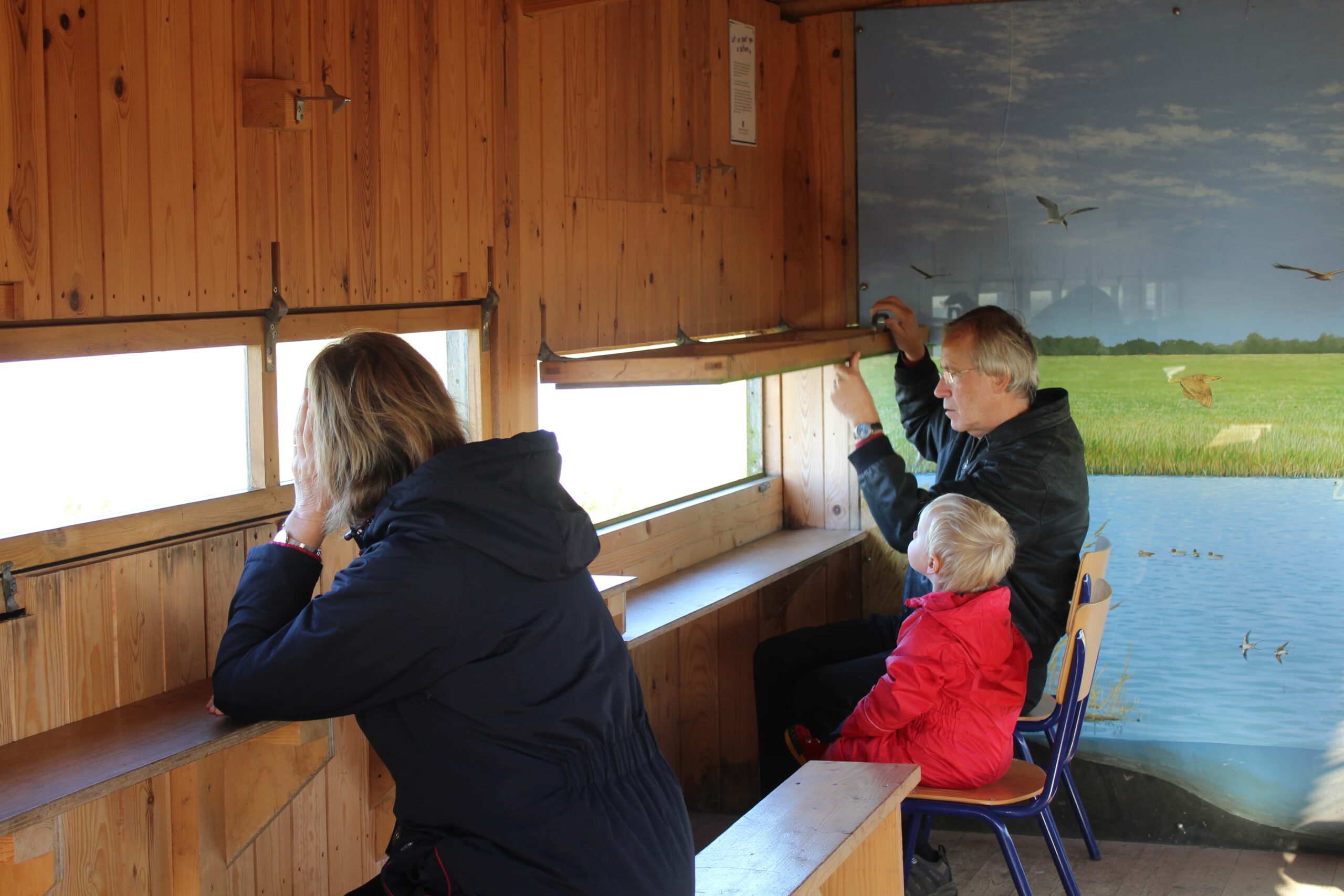 RSPB Frampton Marsh