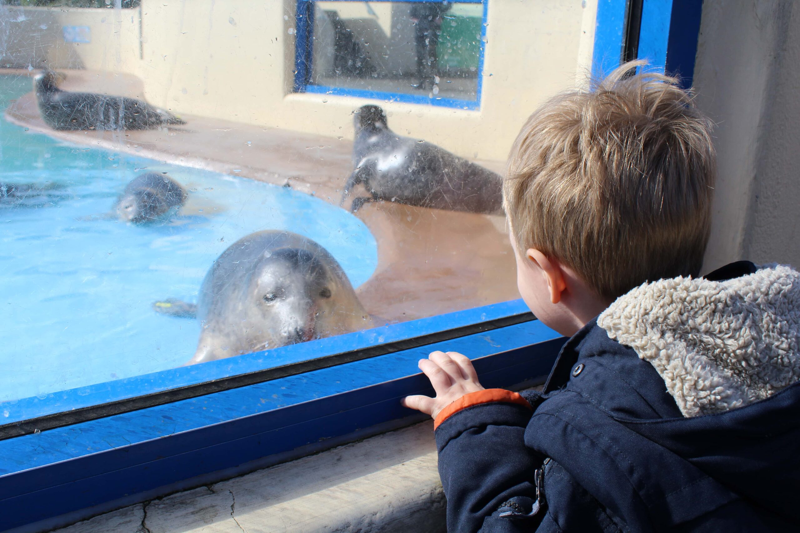 Natureland Seal Sanctuary