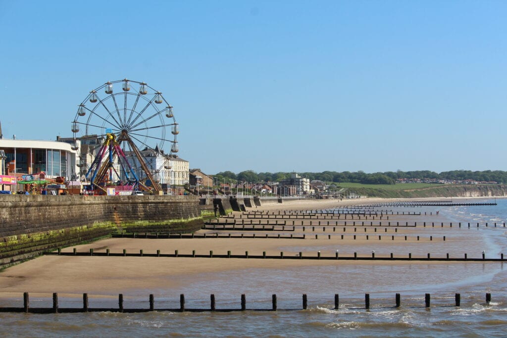 can you take dogs on the beach at bridlington