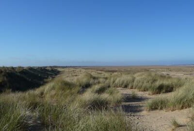 Saltfleetby Theddlethorpe Dunes National Nature Reserve