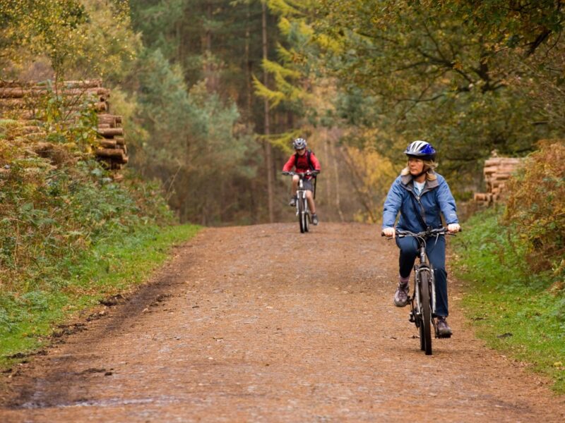 Delamere Forest