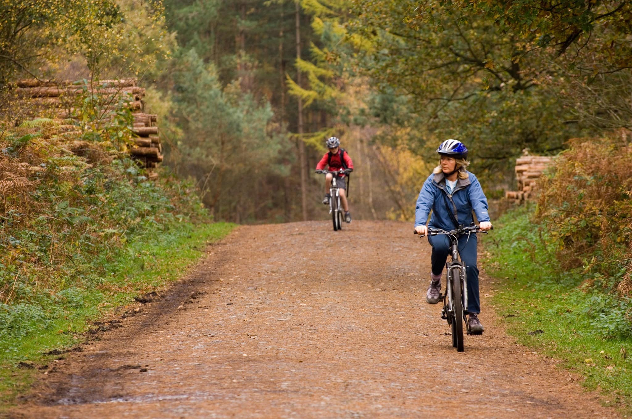 Delamere Forest