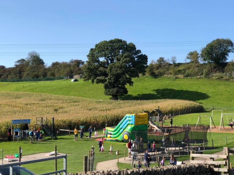 Lakeland Maze Farm Park