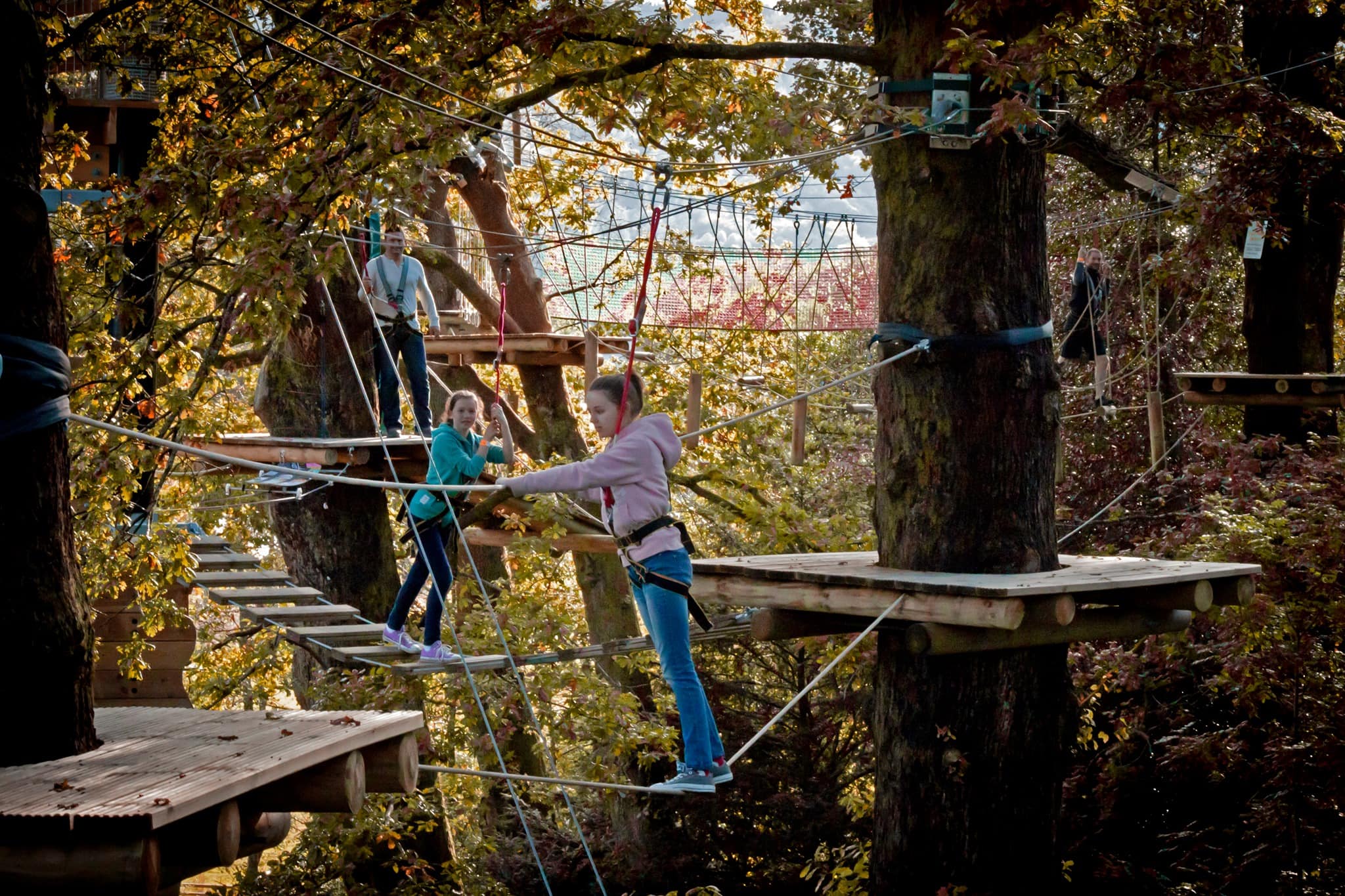 Treetop Lake District