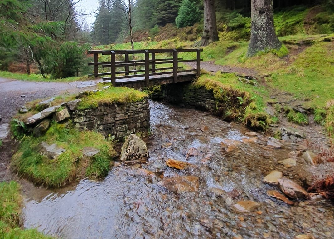 Whinlatter Forest Park