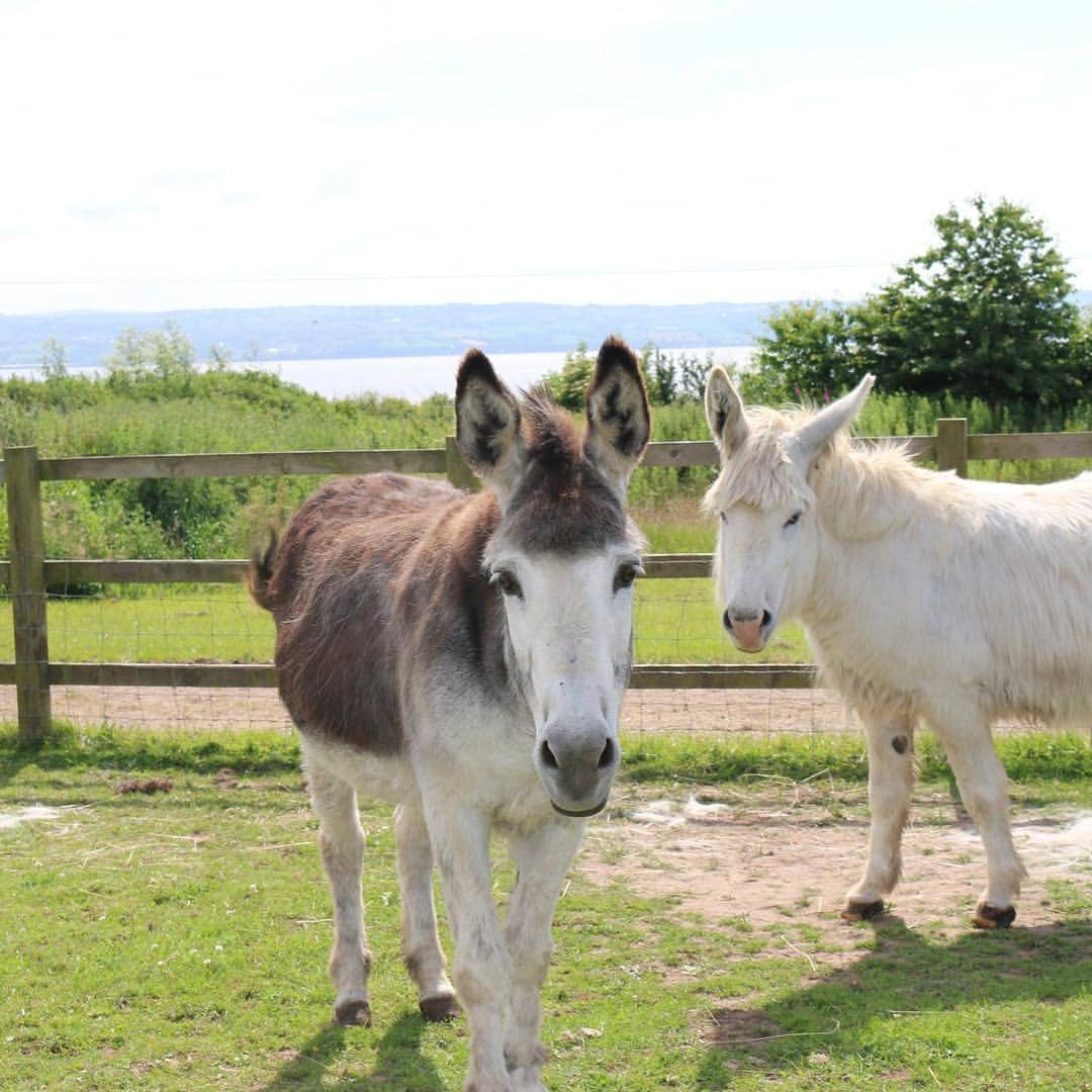 Church Farm events, Ltd.