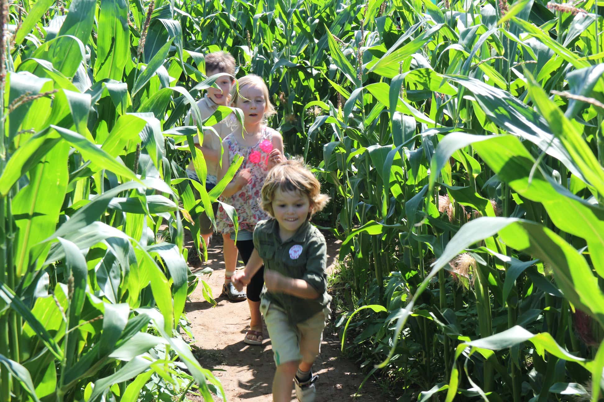 Dairyland Farm Park