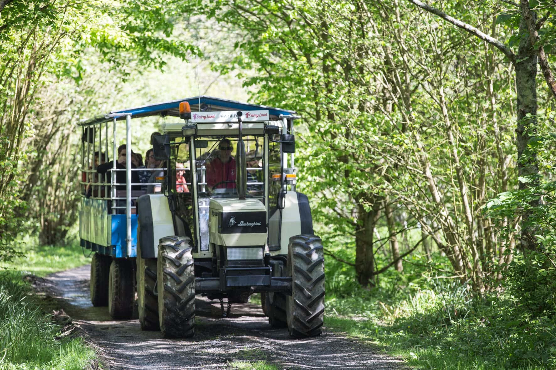 Dairyland Farm Park