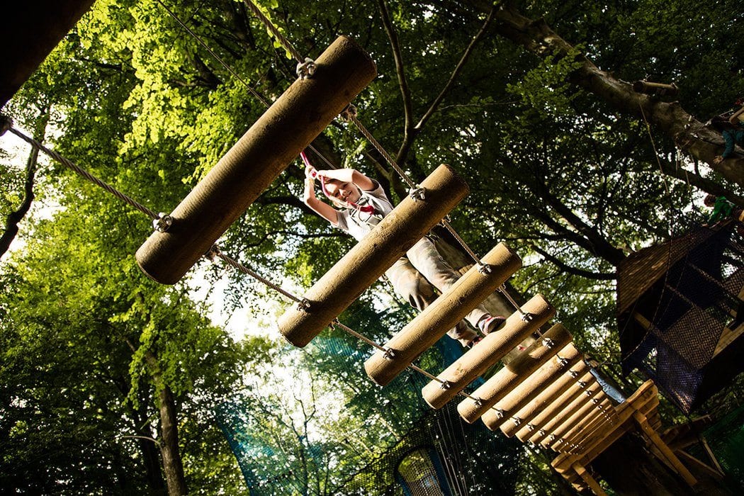 Treetop Lake District