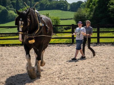 Old Hall Farm Bouth