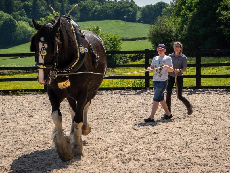 Old Hall Farm Bouth - Where To Go With Kids