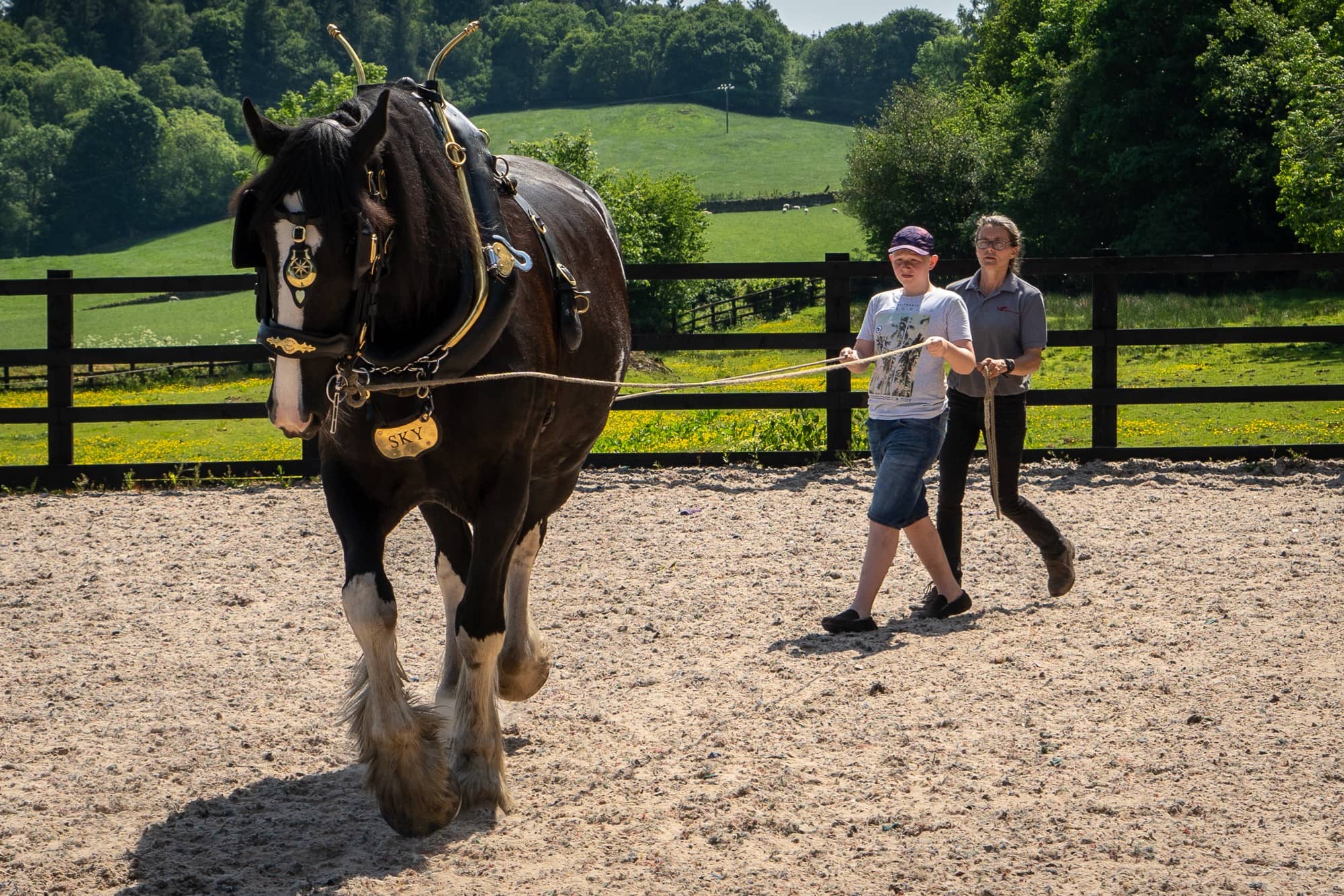 Old Hall Farm Bouth