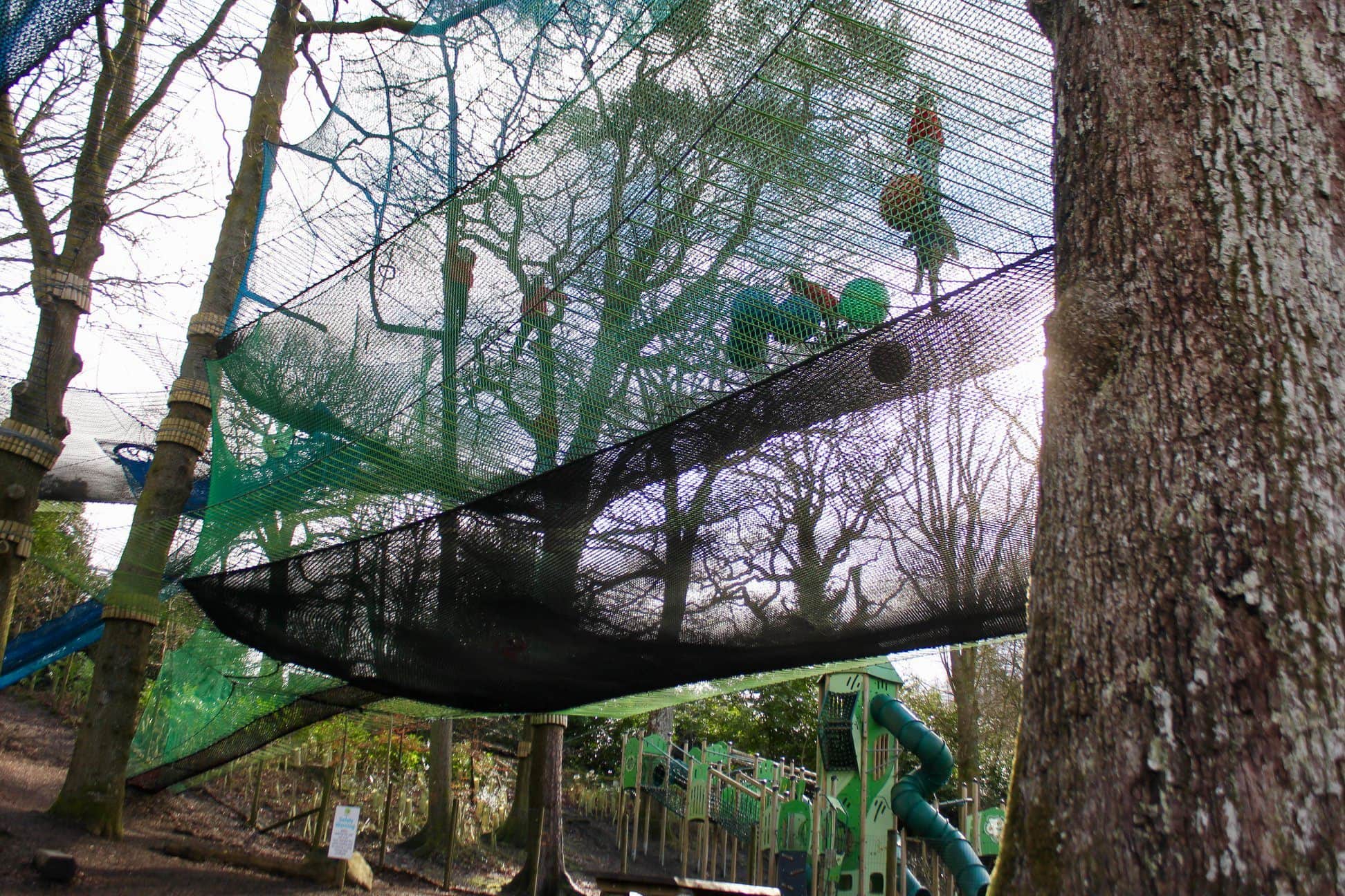 Treetop Lake District