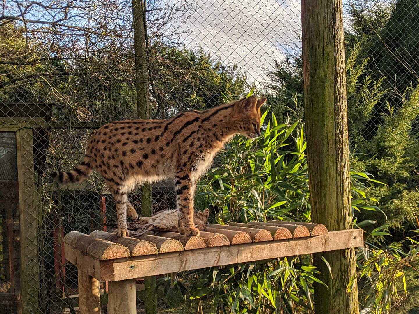 Porfell Wildlife Park and Sanctuary