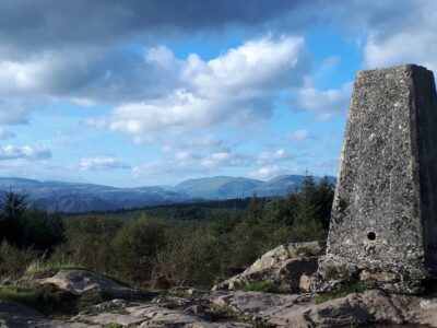 Grizedale Forest