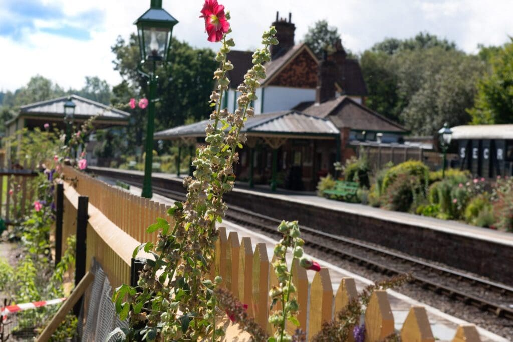 Bluebell railway