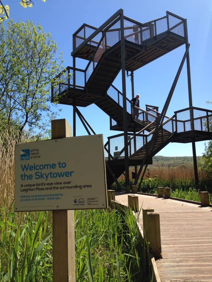 RSPB Leighton Moss