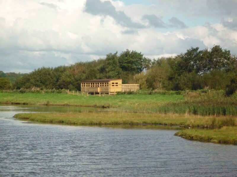 RSPB Leighton Moss