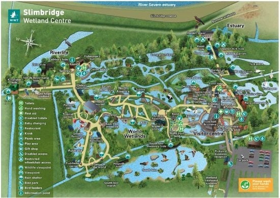 WWT Slimbridge Where To Go With Kids Gloucestershire