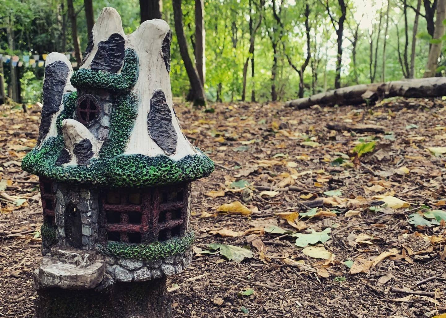 The Green Fairy Trail
