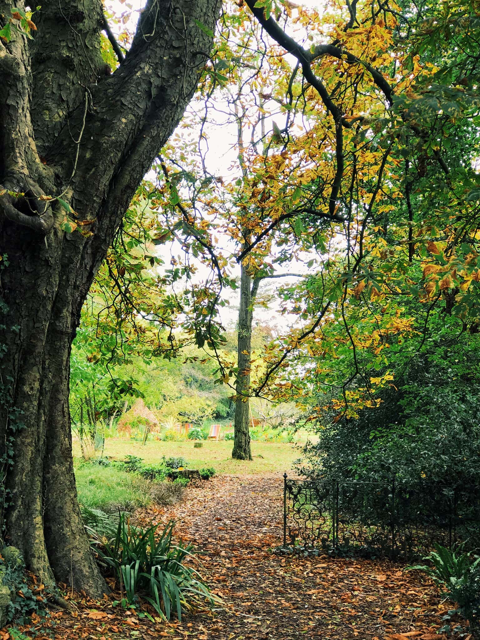 Old Down Country Park