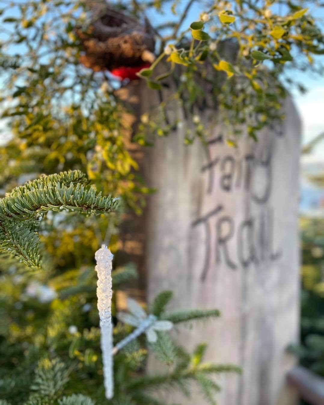 Churchfields Farmhouse Ice Cream Fairy Trail