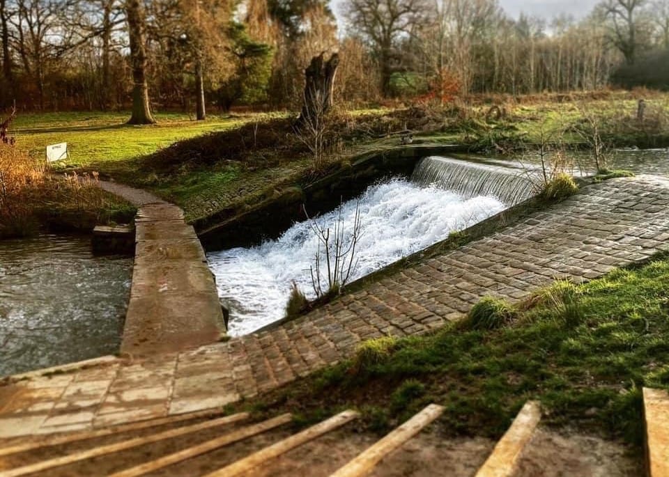 Cannon Hall Museum Park and Gardens