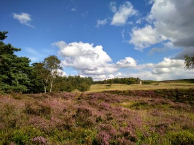 Longshaw, Burbage and the Eastern Moors