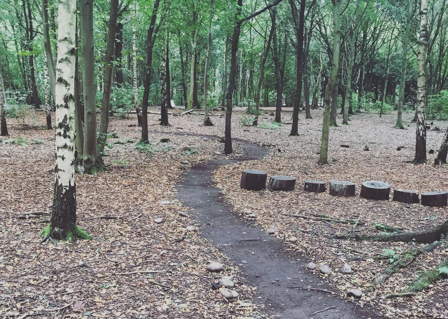 The Green Fairy Trail