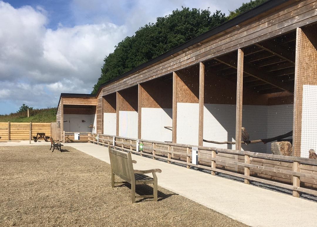 British Bird of Prey Centre