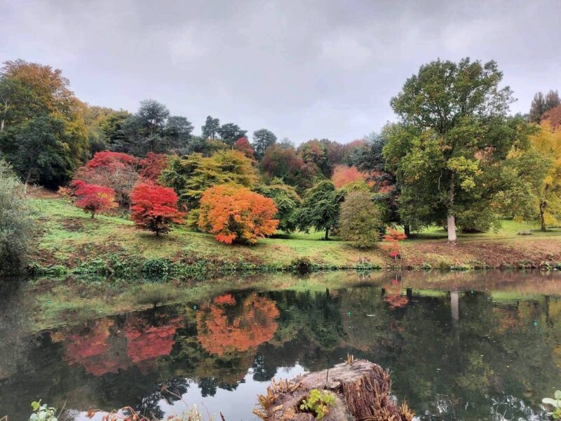 Winkworth Arboretum