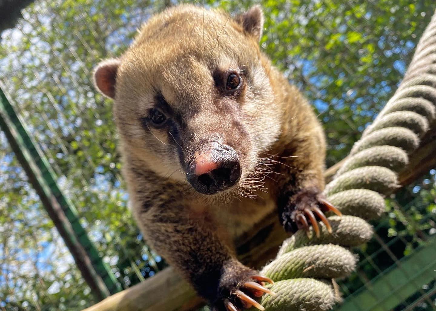 Greenacres Animal Park