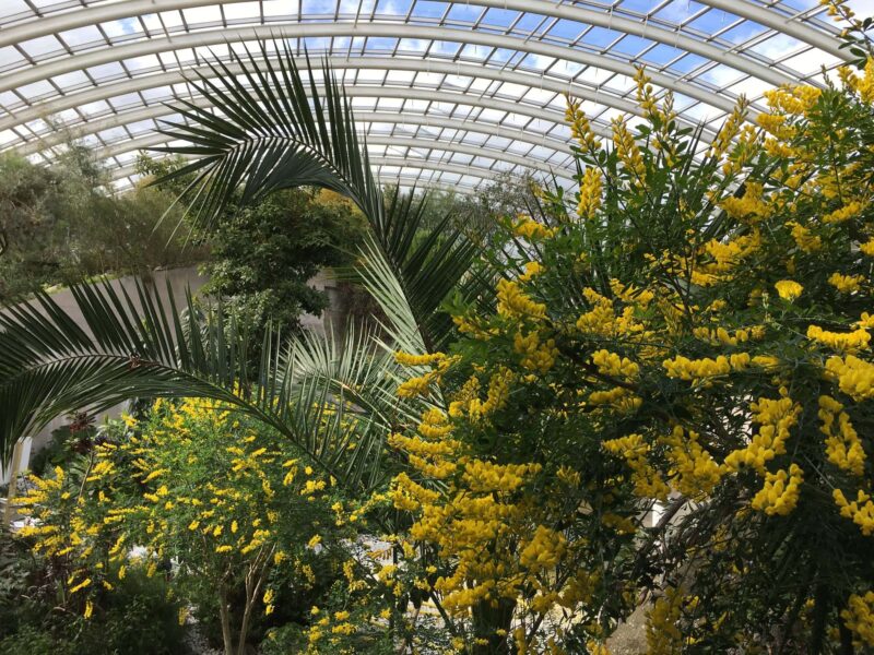 National Botanic Garden of Wales