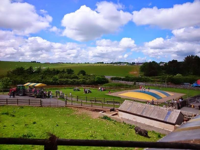 Foel Farm Park